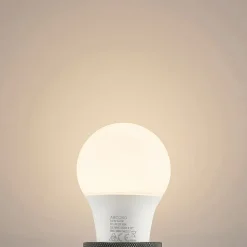 Arcchio LED-pære E27 A60 4,9W opal 3.000K 480 lm