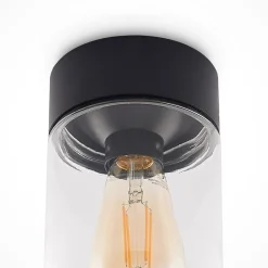 Arcchio Liljana udendørs loftslampe, IP65, sort