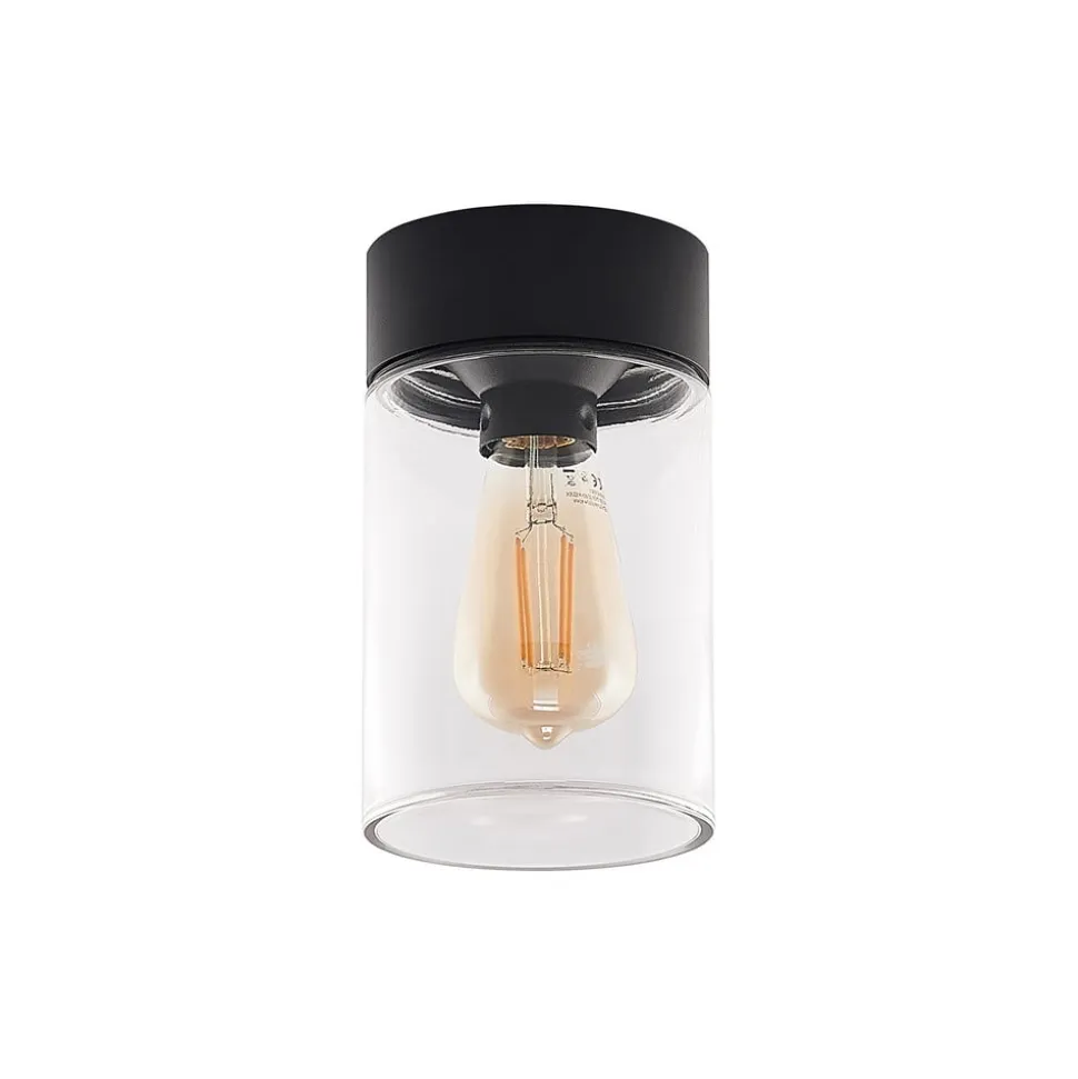 Arcchio Liljana udendørs loftslampe, IP65, sort