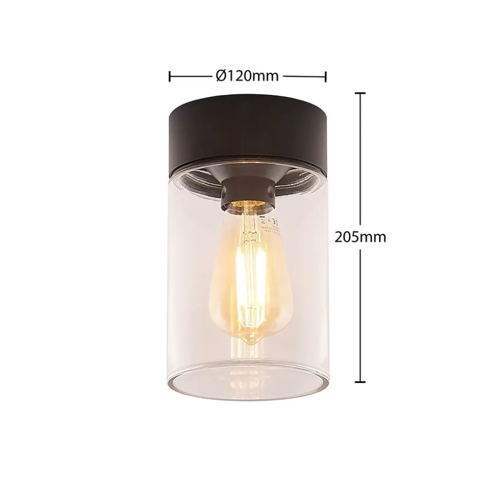 Arcchio Liljana udendørs loftslampe, IP65, sort