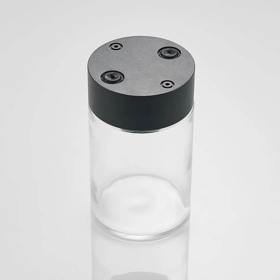 Arcchio Liljana udendørs loftslampe, IP65, sort