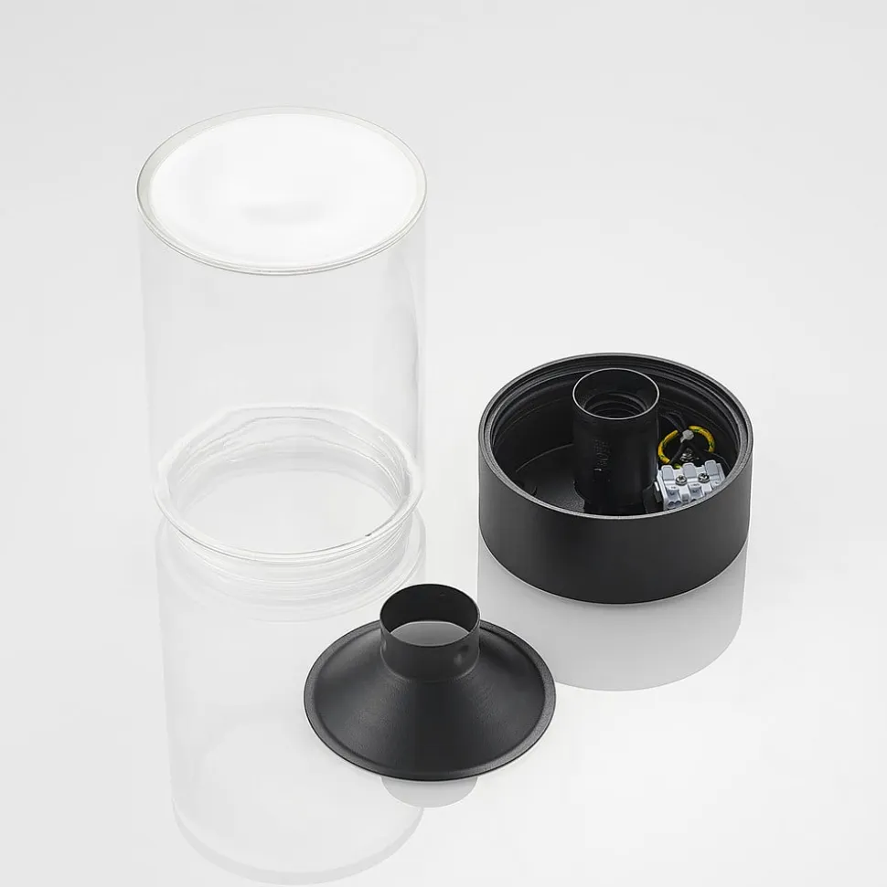 Arcchio Liljana udendørs loftslampe, IP65, sort