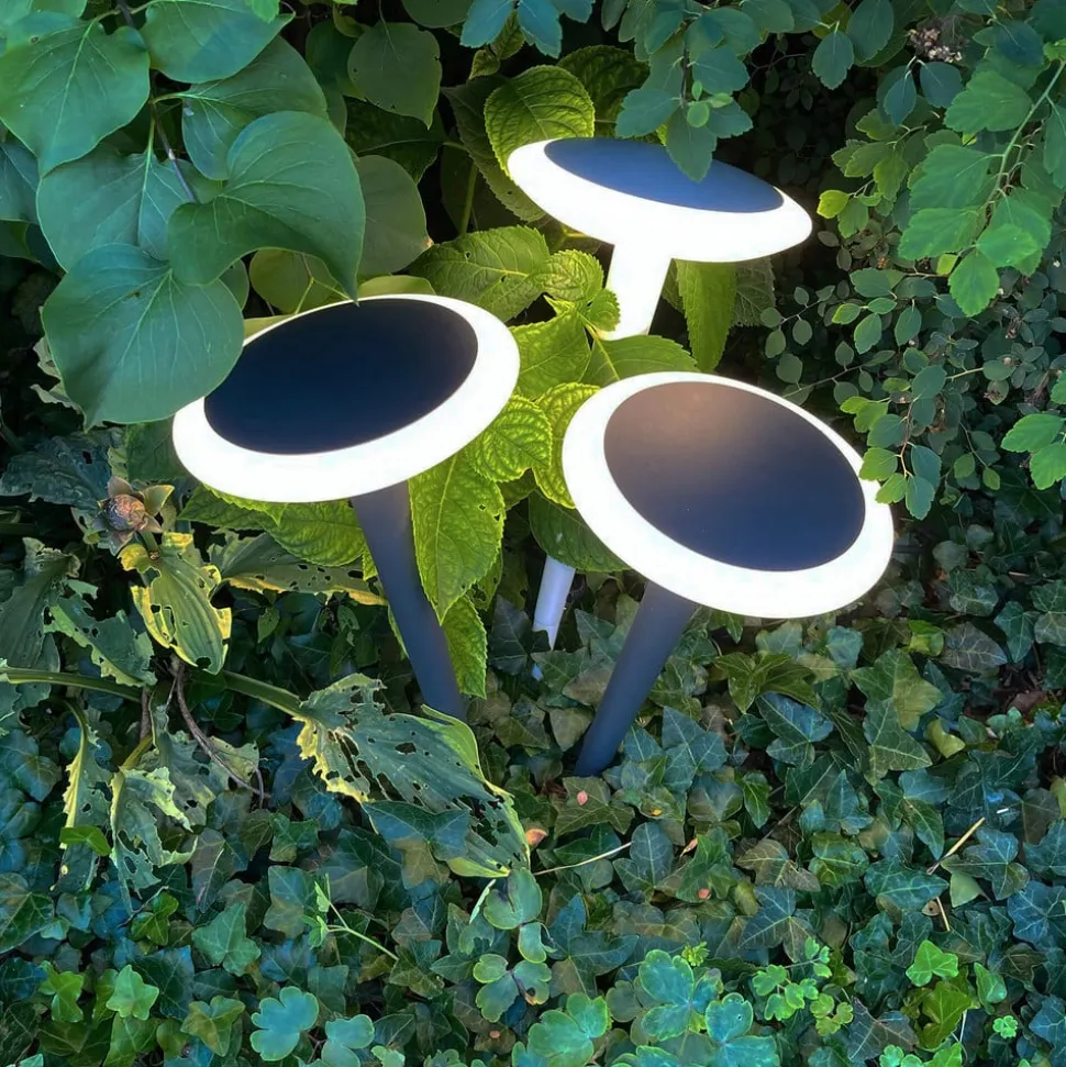 Bermuda LED-sokkellampe med jordspyd, sortgrå