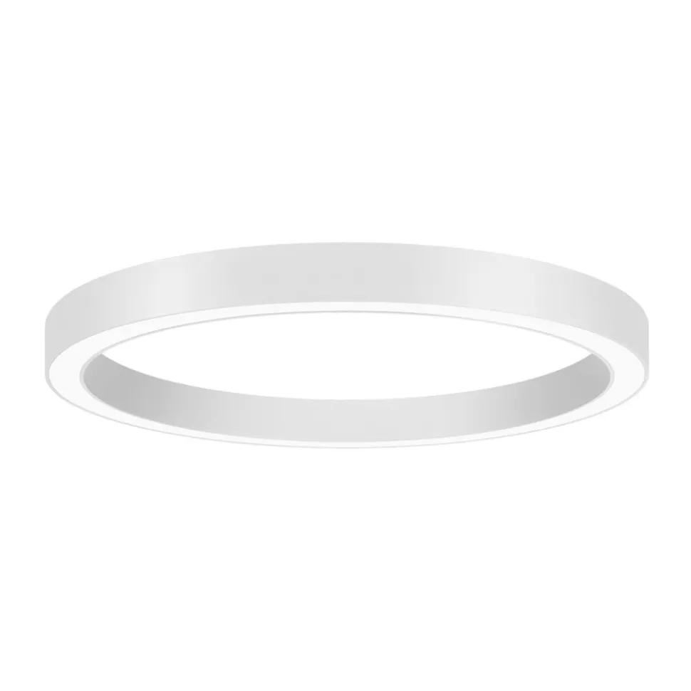 BRUMBERG Biro Circle Ring Loft Ø 75 cm DALI hvid 3000 K