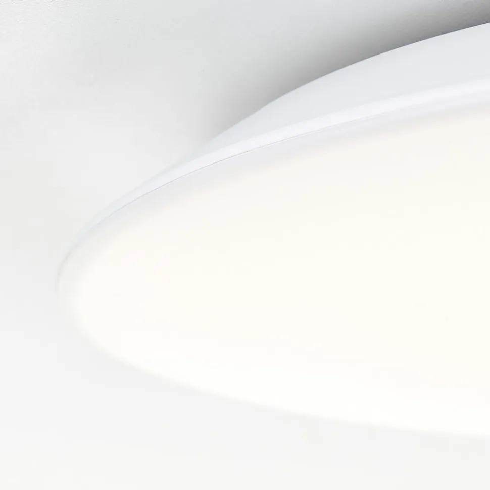 Colden LED-badeværelsesloftlampe, hvid, tænd/sluk, Ø 29 cm