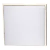 Desdy LED udendørs loftlampe, 30 x 30 cm, hvid