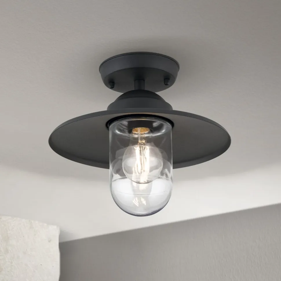 Edward udendørs loftlampe, antracit, Ø 27,5 cm, aluminium
