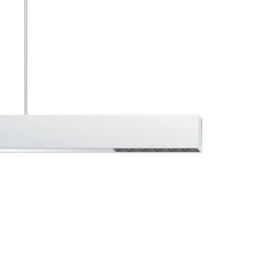 ERCO Compar P DALI up/down oval wide hvid/sort 940