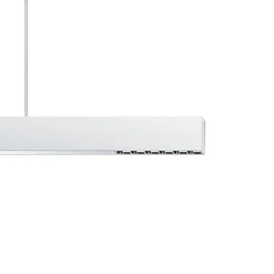 ERCO Compar P DALI up/down oval wide hvid/sølv 940