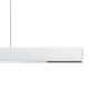 ERCO Compar P DALI up/down oval wide hvid/sort 930