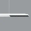 ERCO Jilly P DALI up/down, oval wide hvid/sort 830