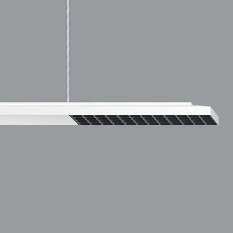 ERCO Jilly P DALI up/down, oval wide hvid/sort 830