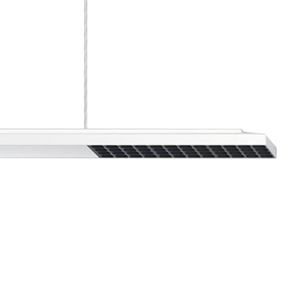 ERCO Jilly P DALI up/down, oval wide hvid/sort 830