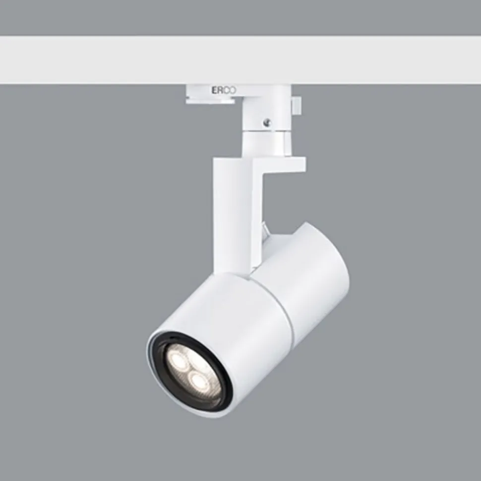 ERCO Parscan 230 V Casambi 6 W flood 930 hvid