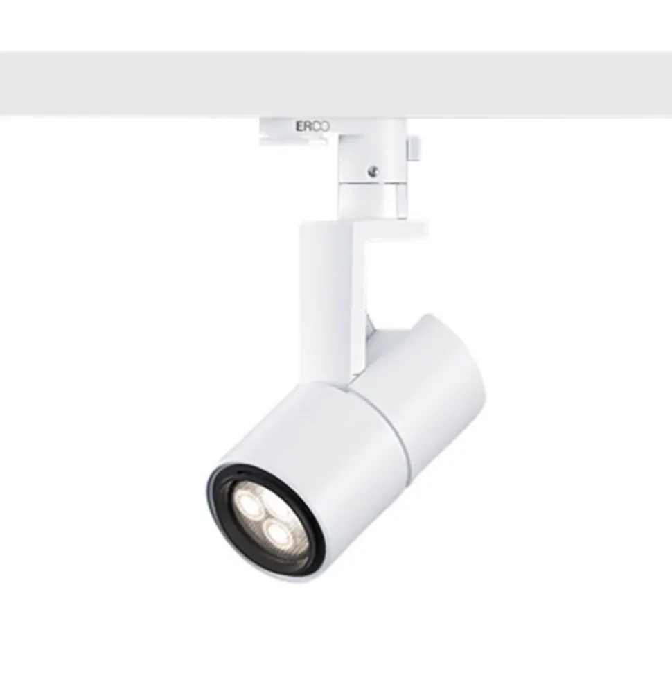 ERCO Parscan 230 V Casambi 6 W flood 930 hvid
