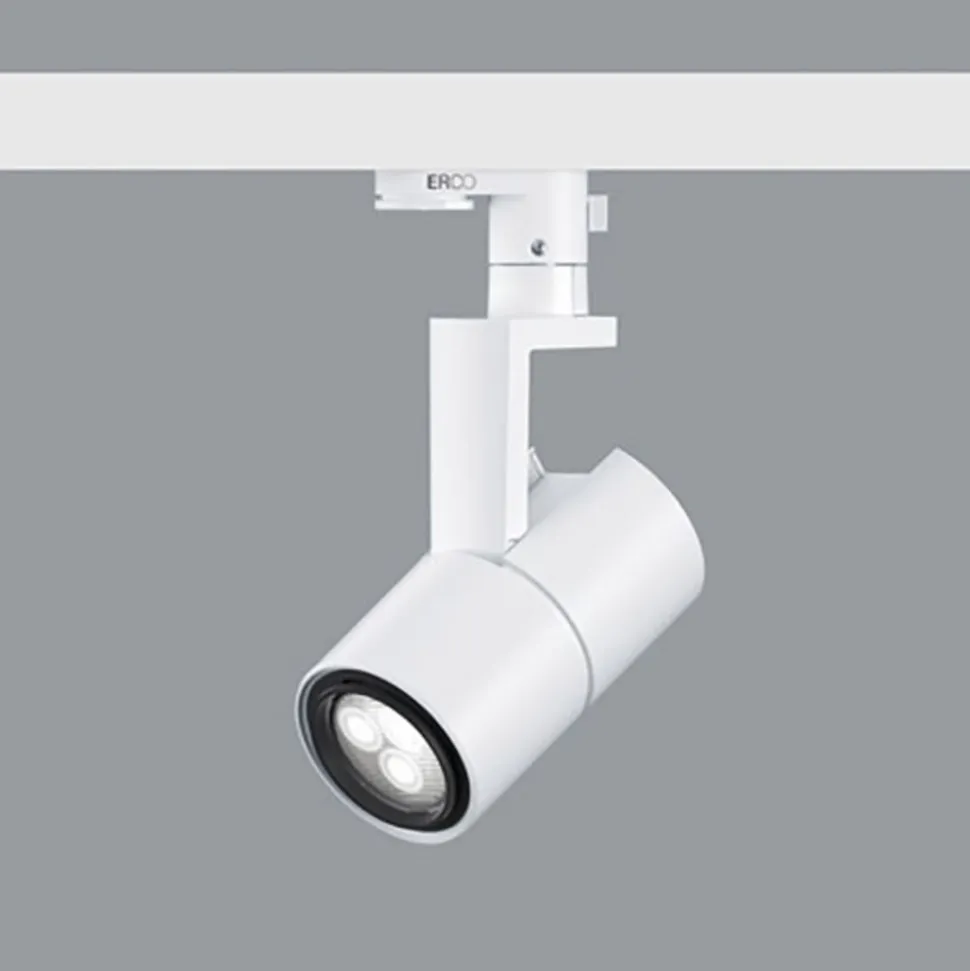 ERCO Parscan 230 V spot 6 W wallwash 940 hvid