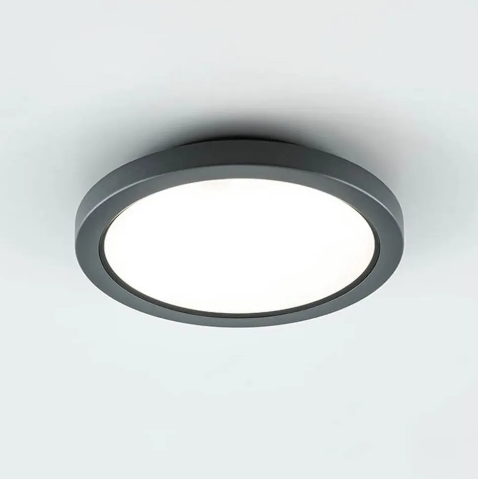 EVN Tectum LED udendørs loftlampe, rund med glas