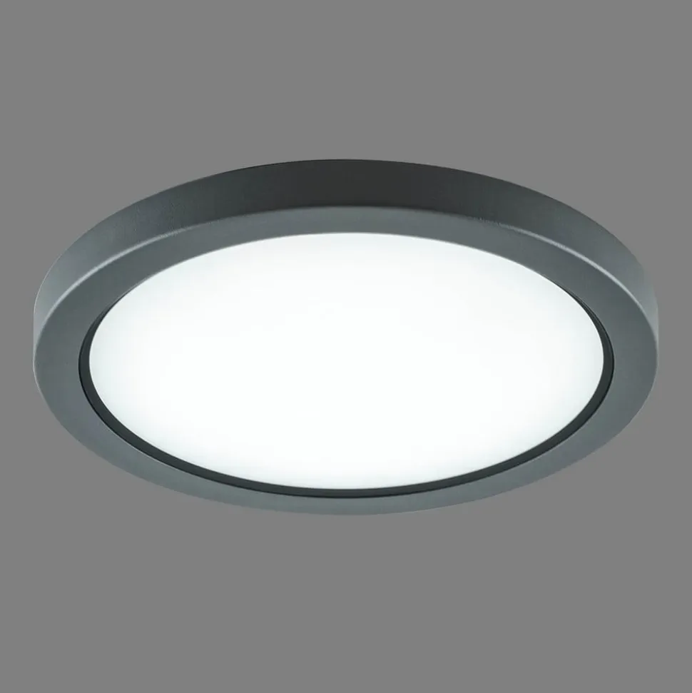 EVN Tectum LED udendørs loftlampe, rund med glas