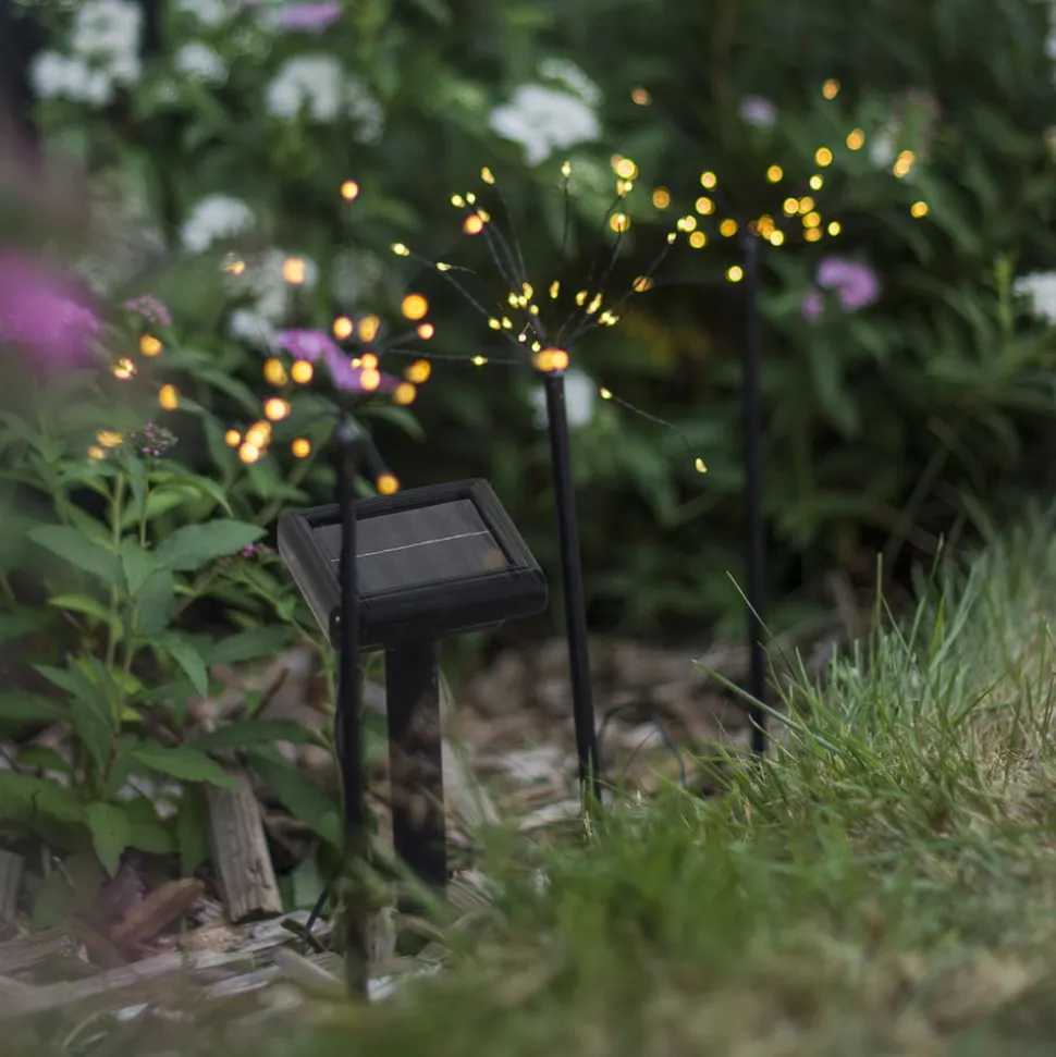 Firework LED-solcellelampe i sæt med jordspyd