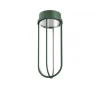 FLOS In Vitro Ceiling loftlampe, 2.700 K mørkegrøn