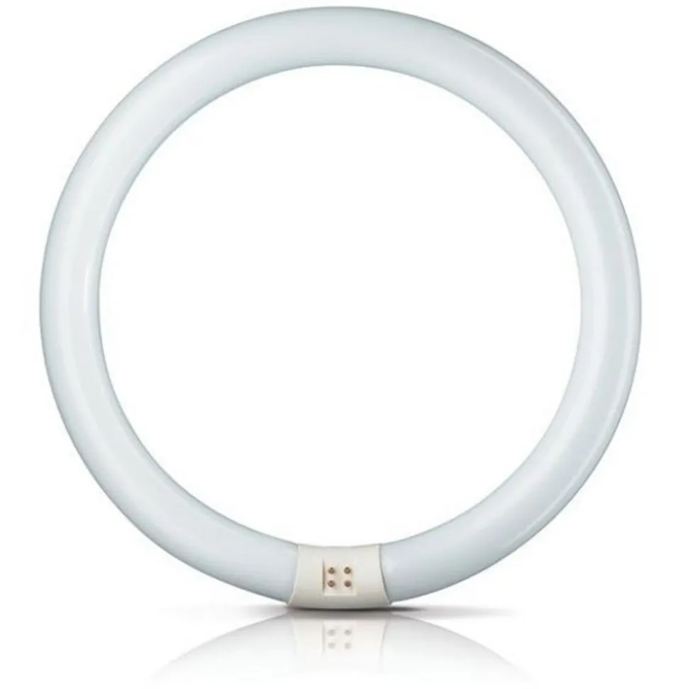G10q 22W 840 ring-lysstofrør Master Circular TL-E