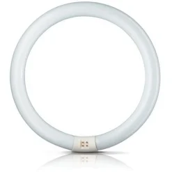 G10q 22W 865 ring-lysstofrør Master Circular TL-E