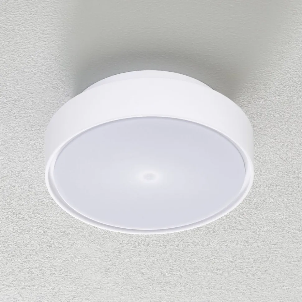 Hatton LED-loftlampe, IP65, 25 cm