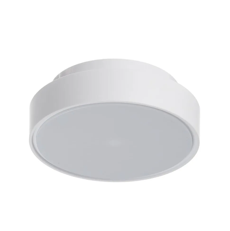 Hatton LED-loftlampe, IP65, 25 cm