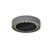 Helestra Say LED udendørs loftlampe grafit Ø23cm