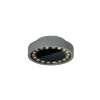 Helestra Say LED udendørs loftlampe grafit Ø18,5cm
