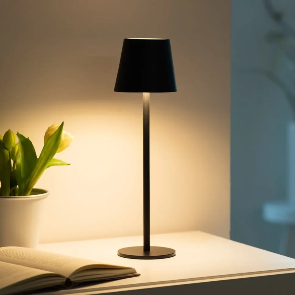 JUST LIGHT. Euria LED-bordlampe, sort, jern IP54