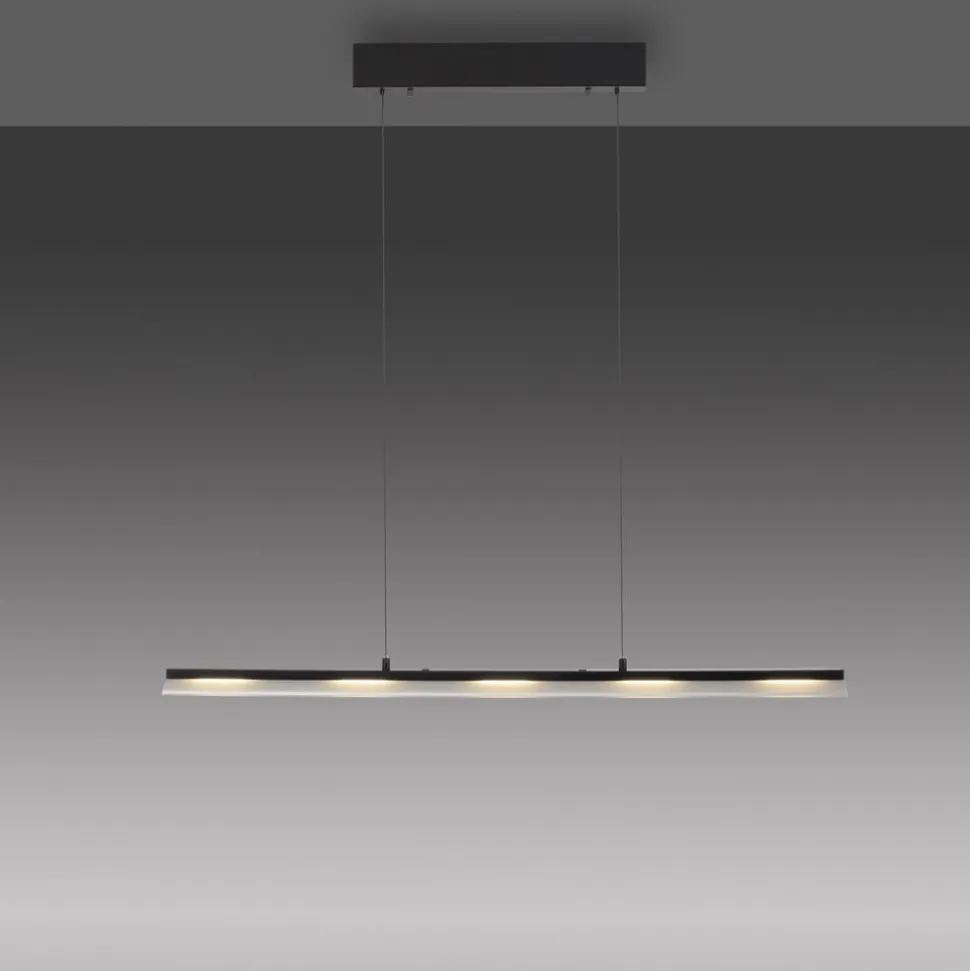 JUST LIGHT. Hængelampe Nele, sort, jern, glas