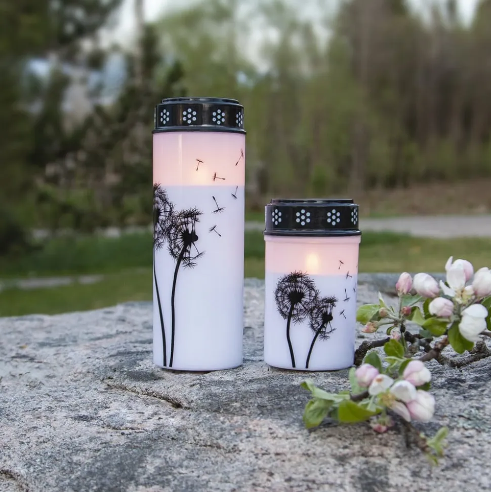 LED gravlys Mælkebøtte, 12 cm hvid/sort plast batteri