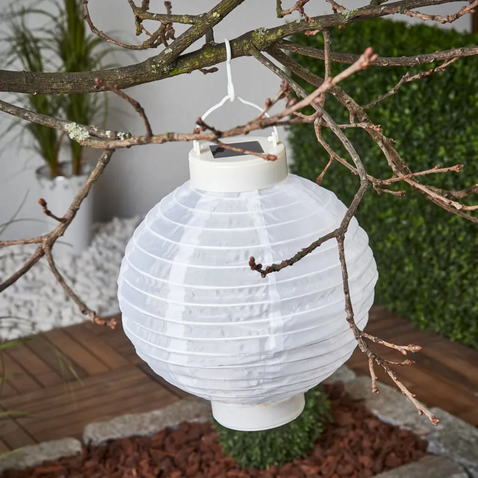 LED solcelle-lampion Jerrit 20 cm, hvid