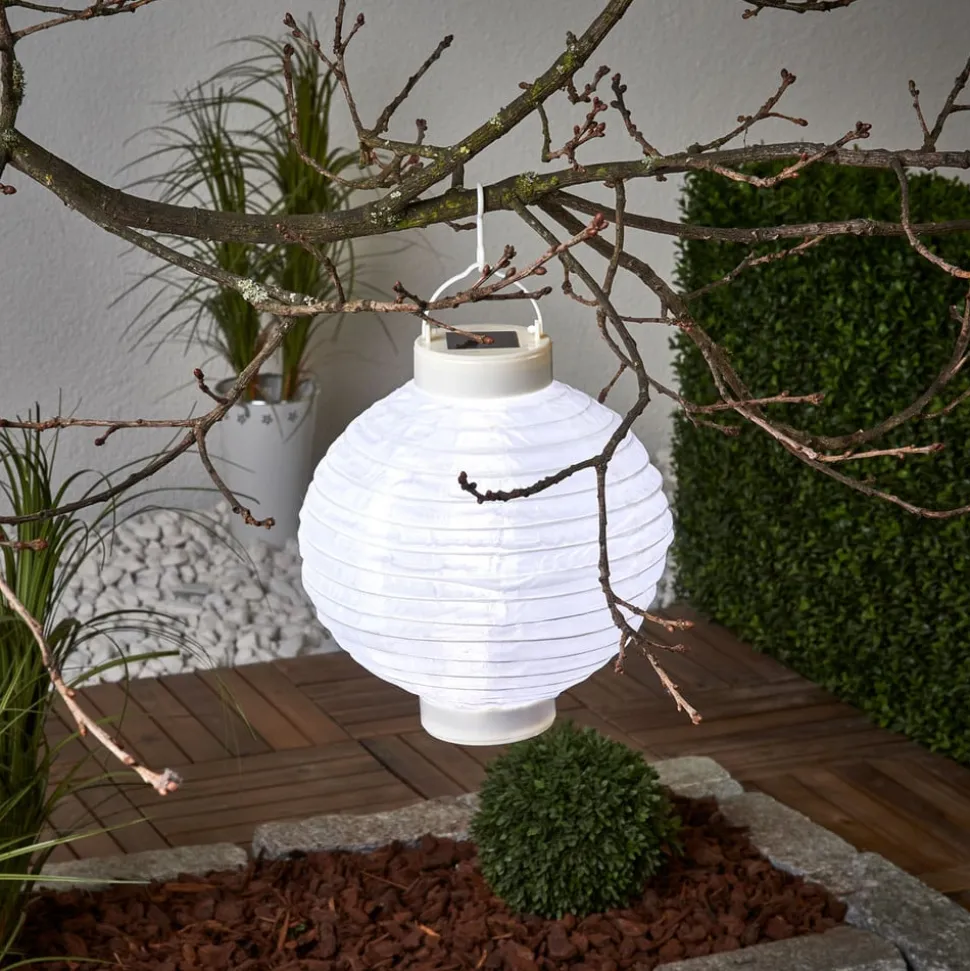 LED solcelle-lampion Jerrit 20 cm, hvid