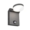 LED udendørs væglampe Adour, antracit, sensor, kipbar, CCT