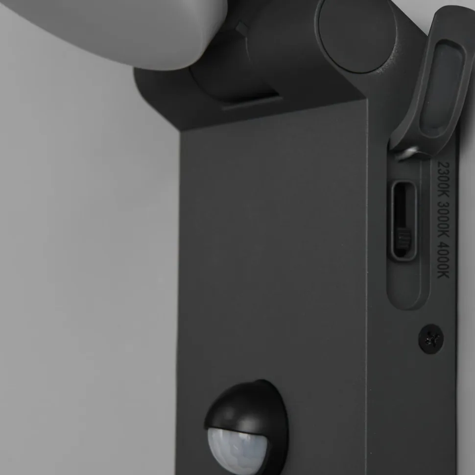 LED udendørs væglampe Adour, antracit, sensor, kipbar, CCT