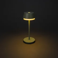 LED-bordlampe Lyon, grøn/grå, IP54, dæmper, CCT, RGB