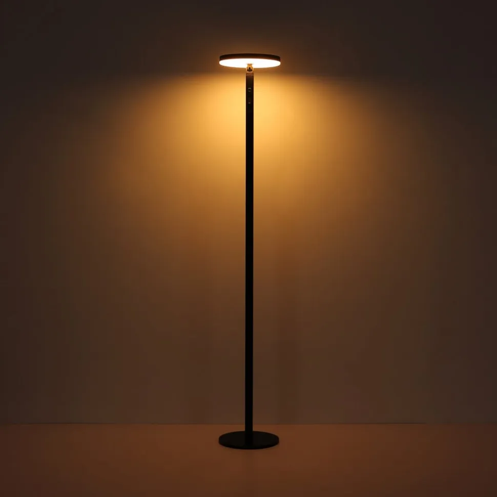 LED-gulvlampe 36508, sort, aluminium, CCT, IP54