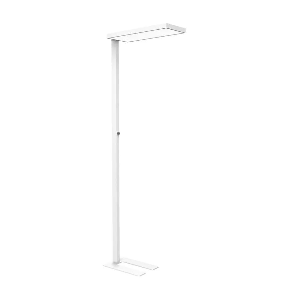 LED-gulvlampe til kontor MAULjura, hvid, aluminium, 196,5 cm, 4000 K