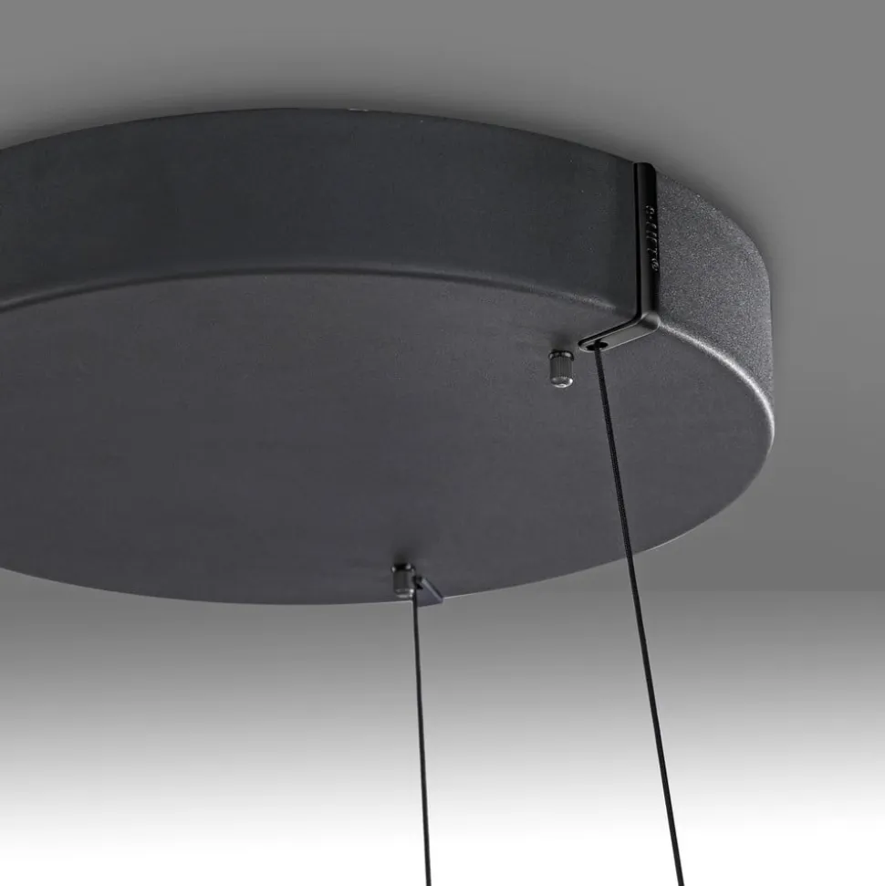 LED-hængelampe PURE E-Loop, eg/sort perle, Ø 70 cm aluminium, CCT