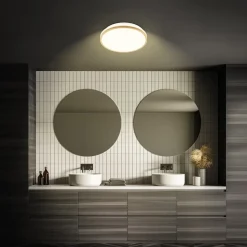 LED-loftlampe Acorus, Ø 28 cm, hvid/træfarvet, IP44