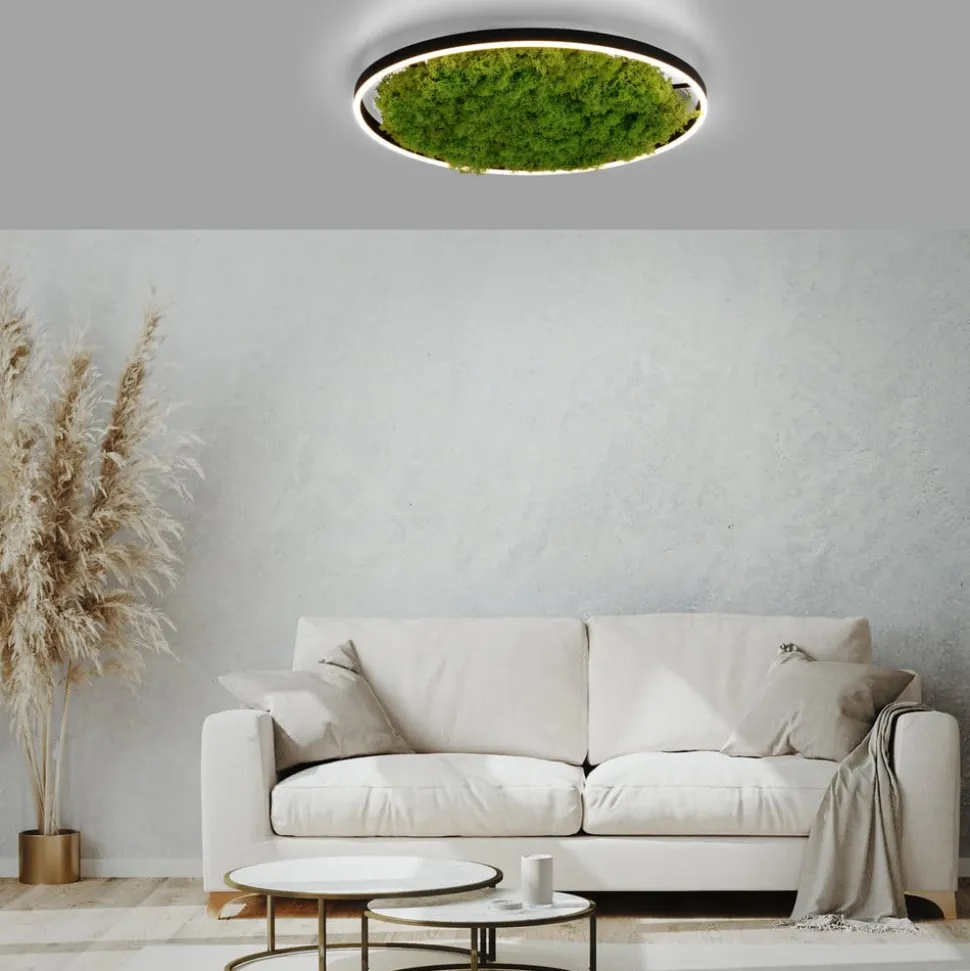 LED-loftlampe Green Ritus, mos dæmpbar Ø58,5cm