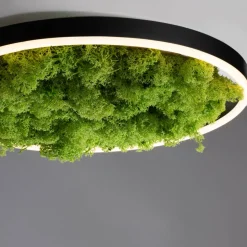 LED-loftlampe Grøn Ritus, mos dæmpbar Ø39,3cm