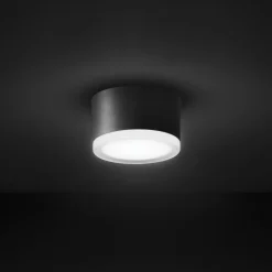 LED-loftslampe 1420 til udendørs brug, grafit Ø 13 cm