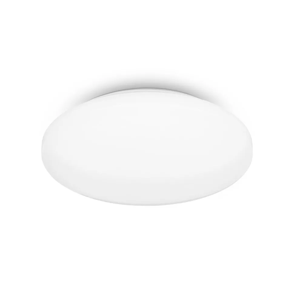 LED-loftslampe Case til badeværelset IP44 3.000K Ø 28cm