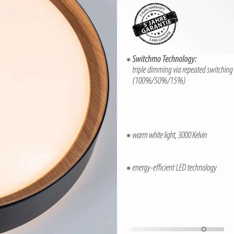 LED-loftslampe Emilia 3-trins dæmpbar sort