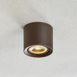 LED-loftslampe Fedler dæmpet til varm, sort