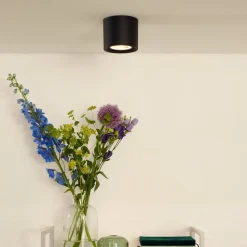 LED-loftslampe Fedler dæmpet til varm, sort