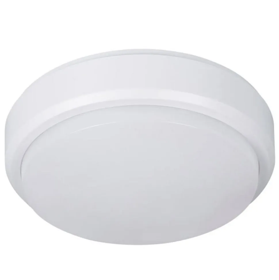 LED-loftslampe Pictor, rund, beskyttelsesklasse IP54